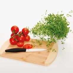 Porsgrunds Porselænsfabrik De Cuisson Grønnsakskniv 13 cm