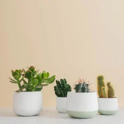 Porsgrunds Porselænsfabrik Nordic Light Lyslykt 10cm Hvit