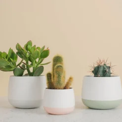 Porsgrunds Porselænsfabrik Nordic Light Lyslykt 10cm Hvit