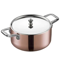 Scanpan Maitre D' Lokk 20cm Stål