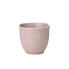 Swedish Grace Rose Eggeglass 4cl