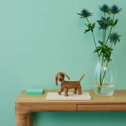Trefigur Snap Dachshund